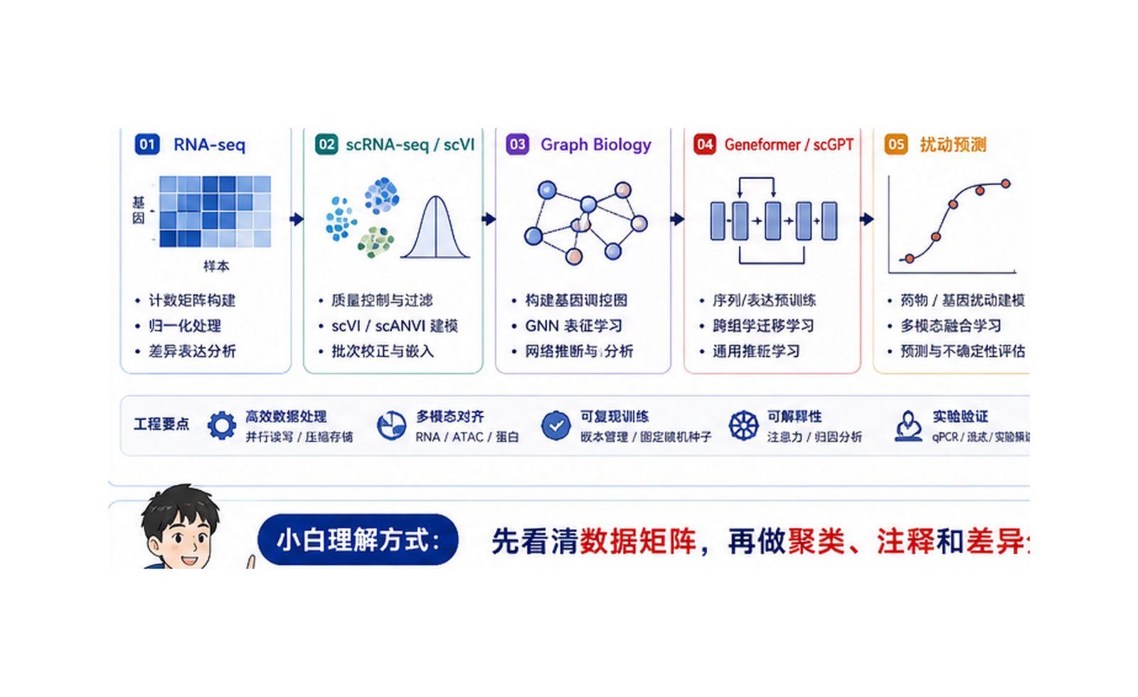 生物信息 AI / 组学智能：用模型理解基因、细胞和疾病机制 技术路线图