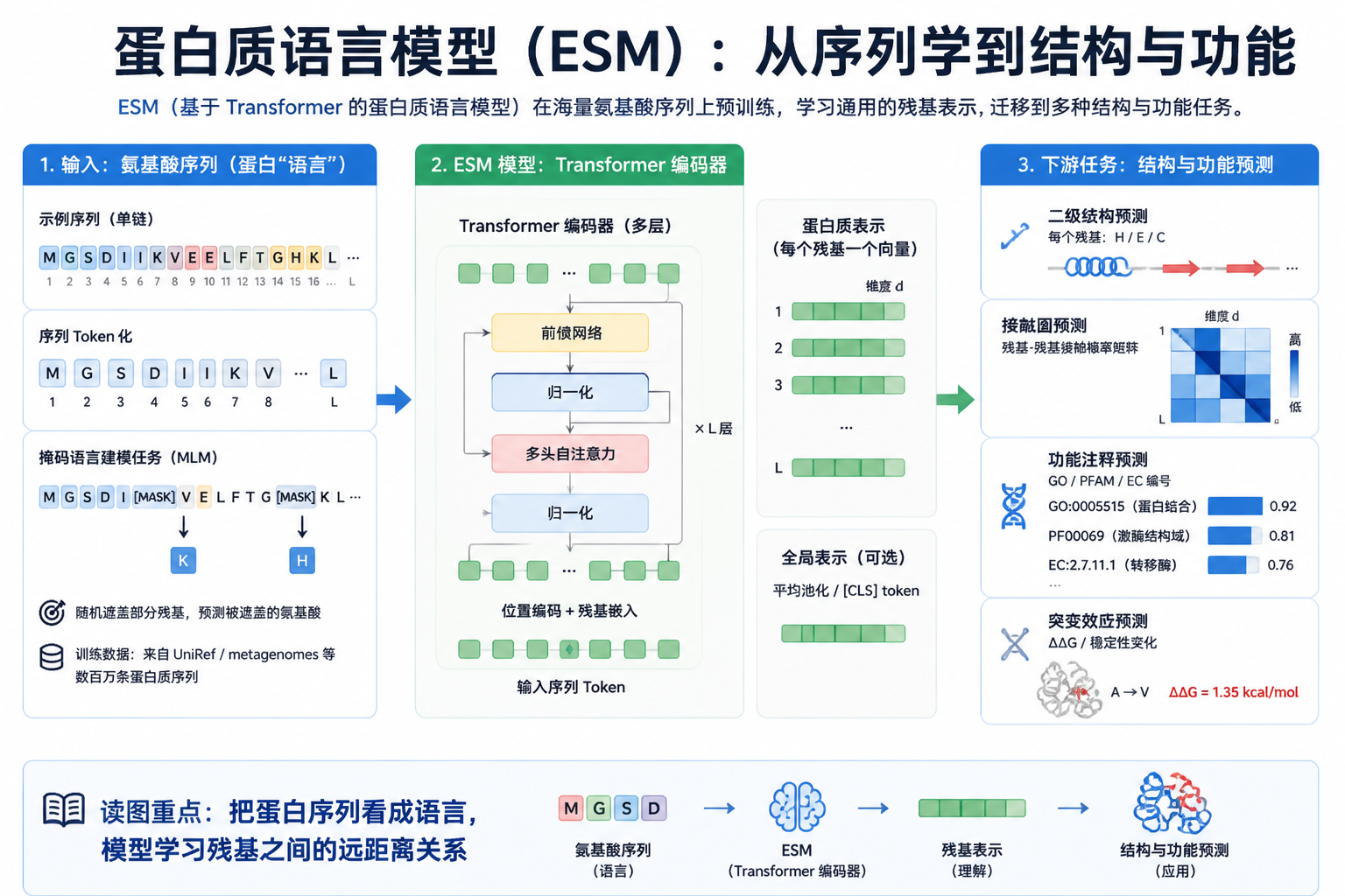 ESM 论文关键图