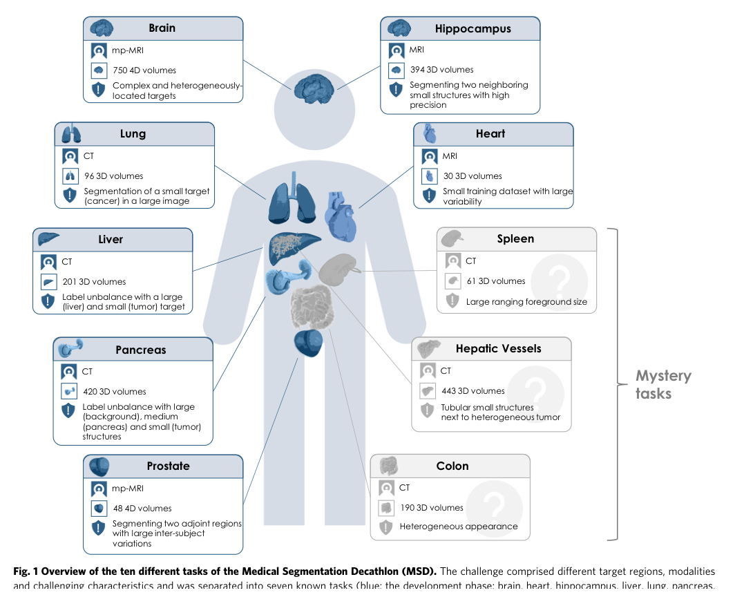 The Medical Segmentation Decathlon 的经典论文图