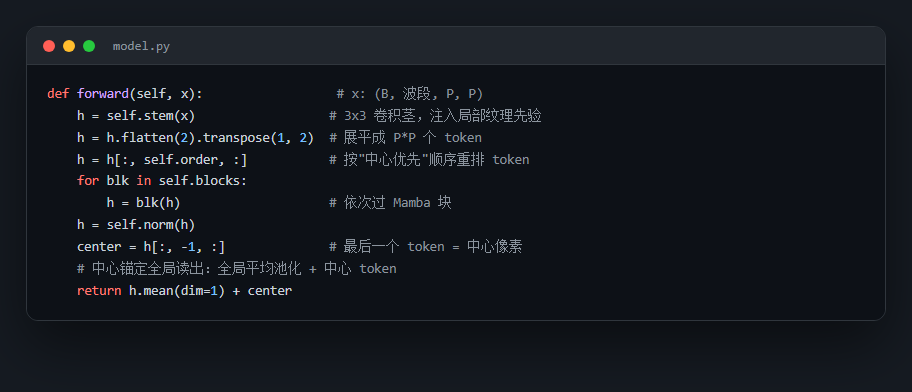 模型读出代码