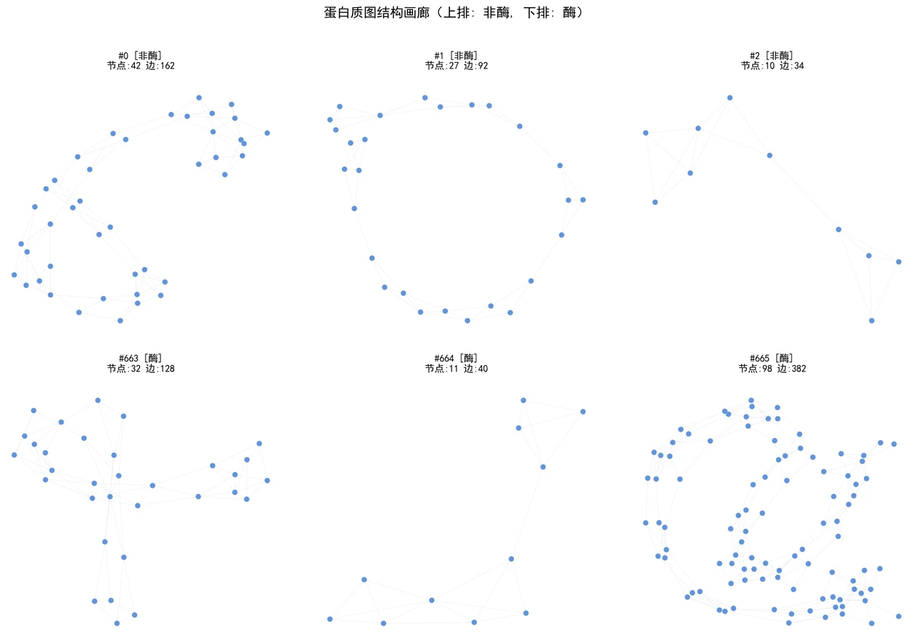 蛋白质图结构样例