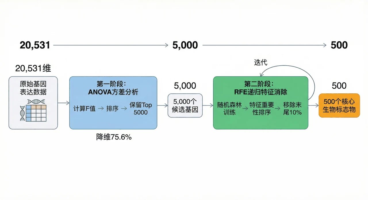 特征选择流程