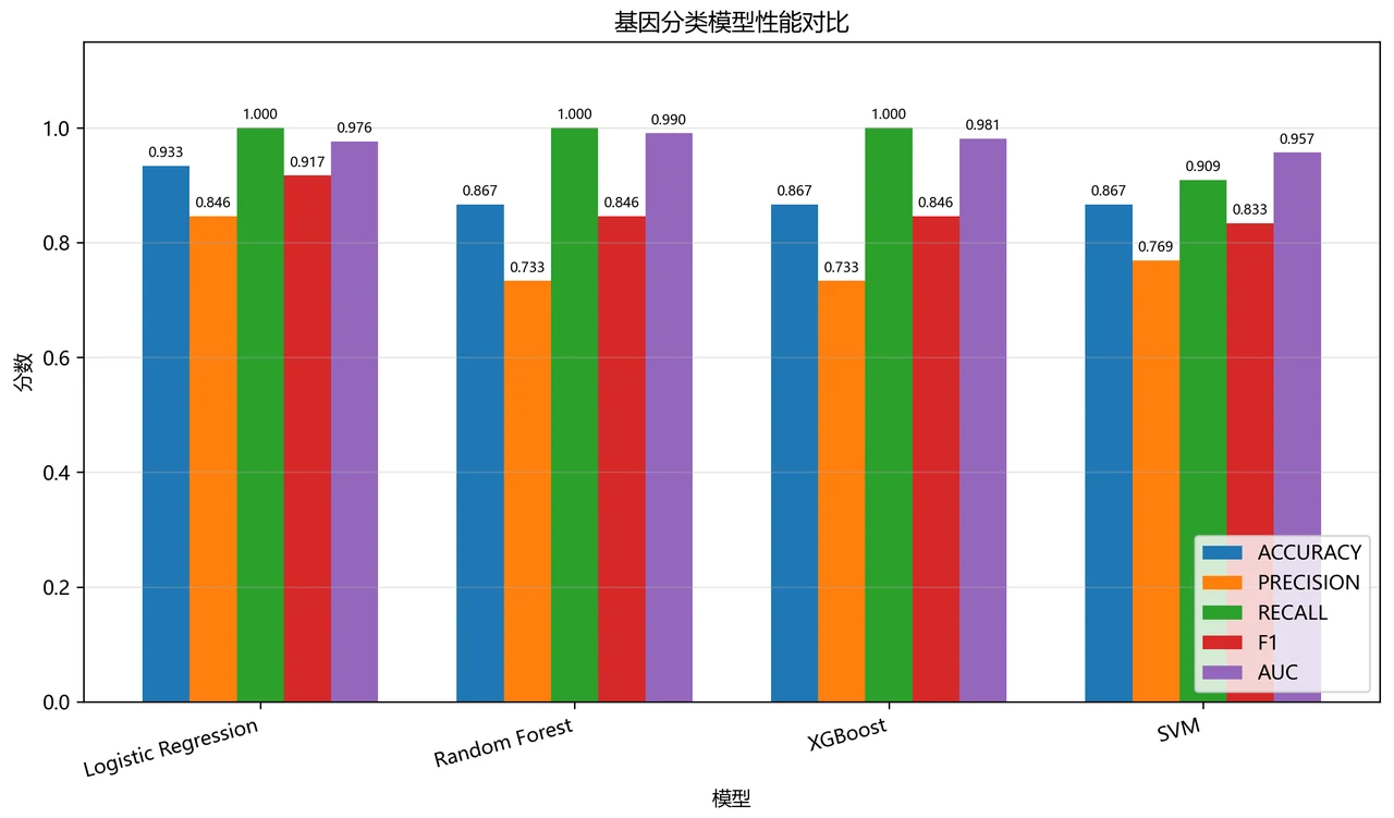 四模型性能对比