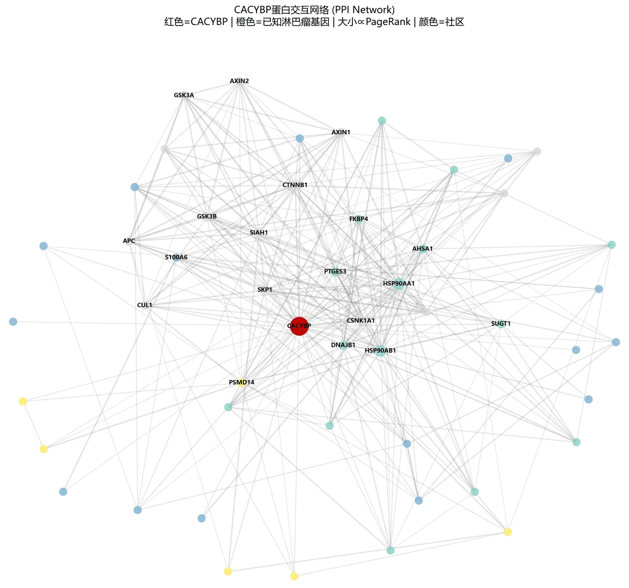 CACYBP 蛋白互作网络图