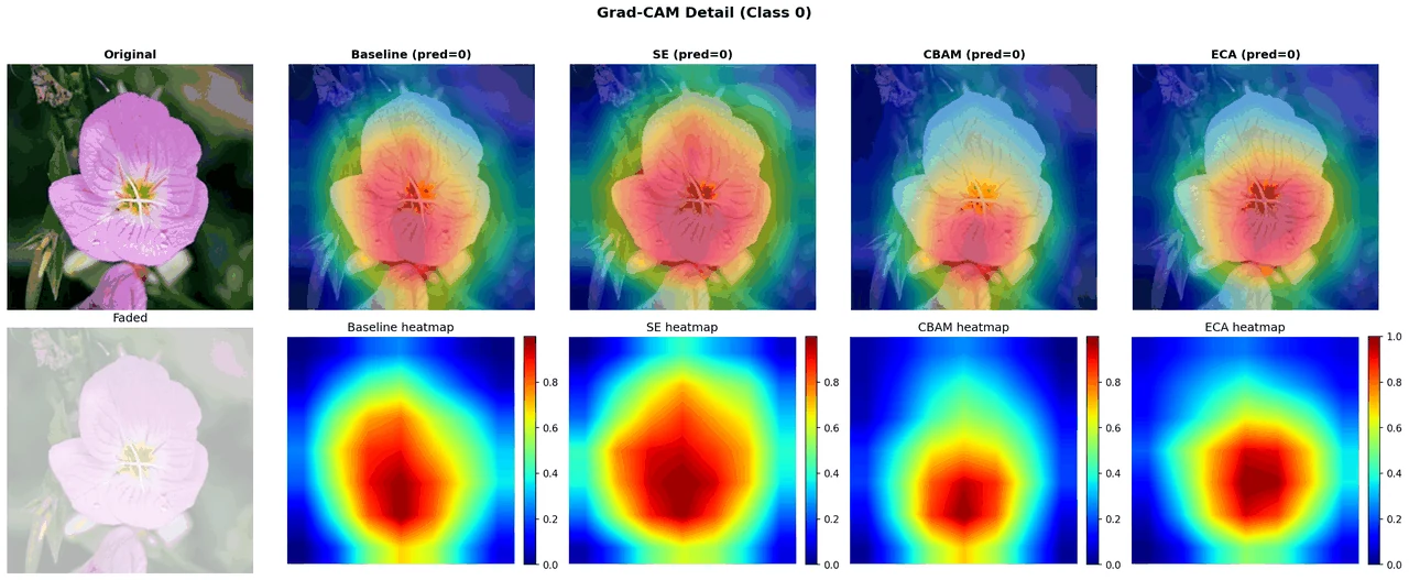 Grad-CAM 详细分析