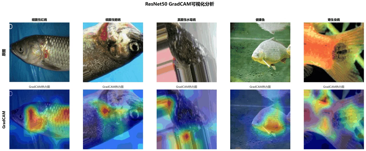 Grad-CAM 热力图