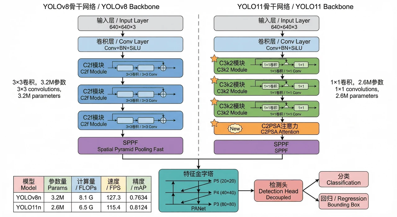 YOLOv8 与 YOLO11 架构对比
