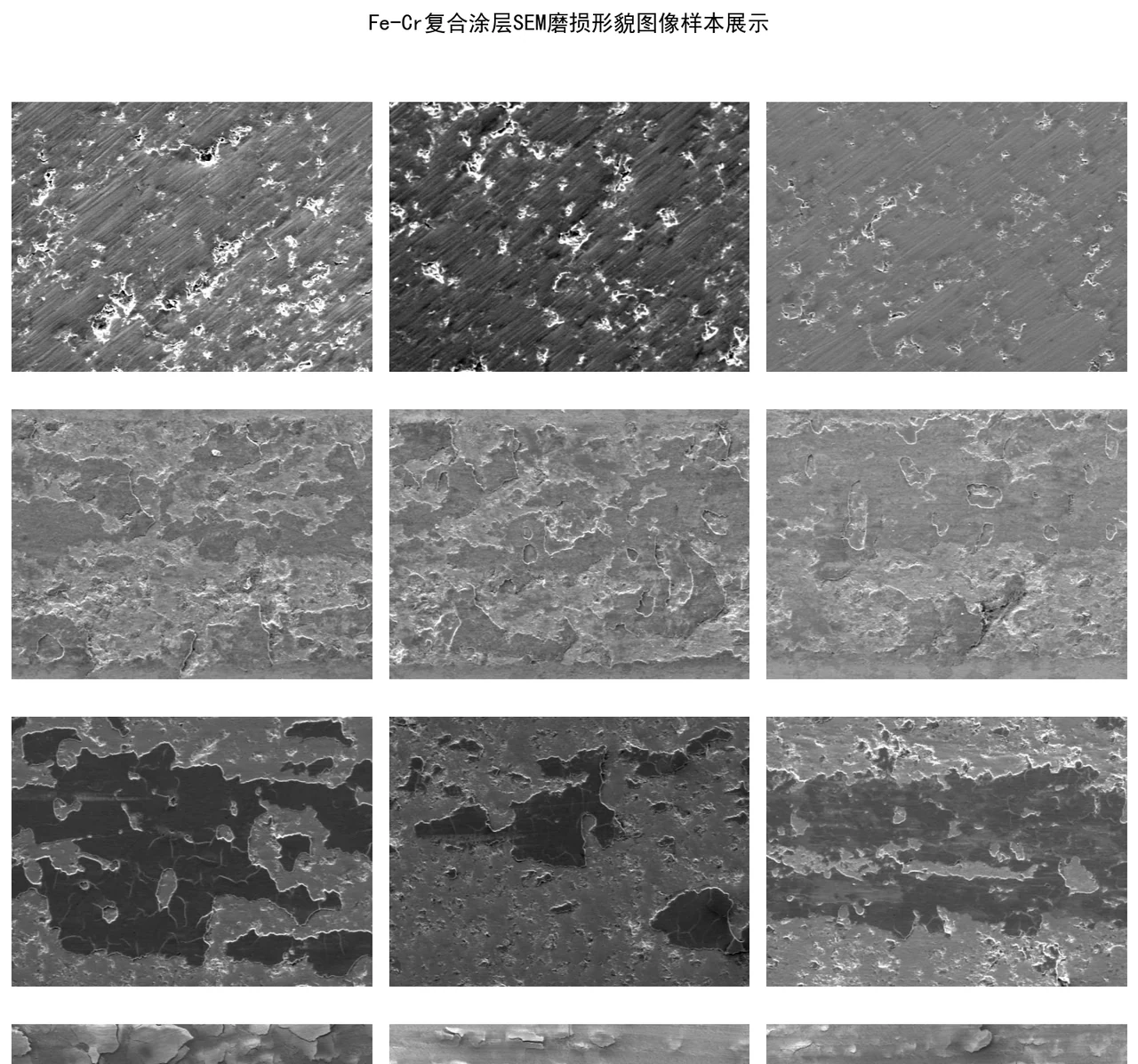 五类 SEM 磨损形貌样本