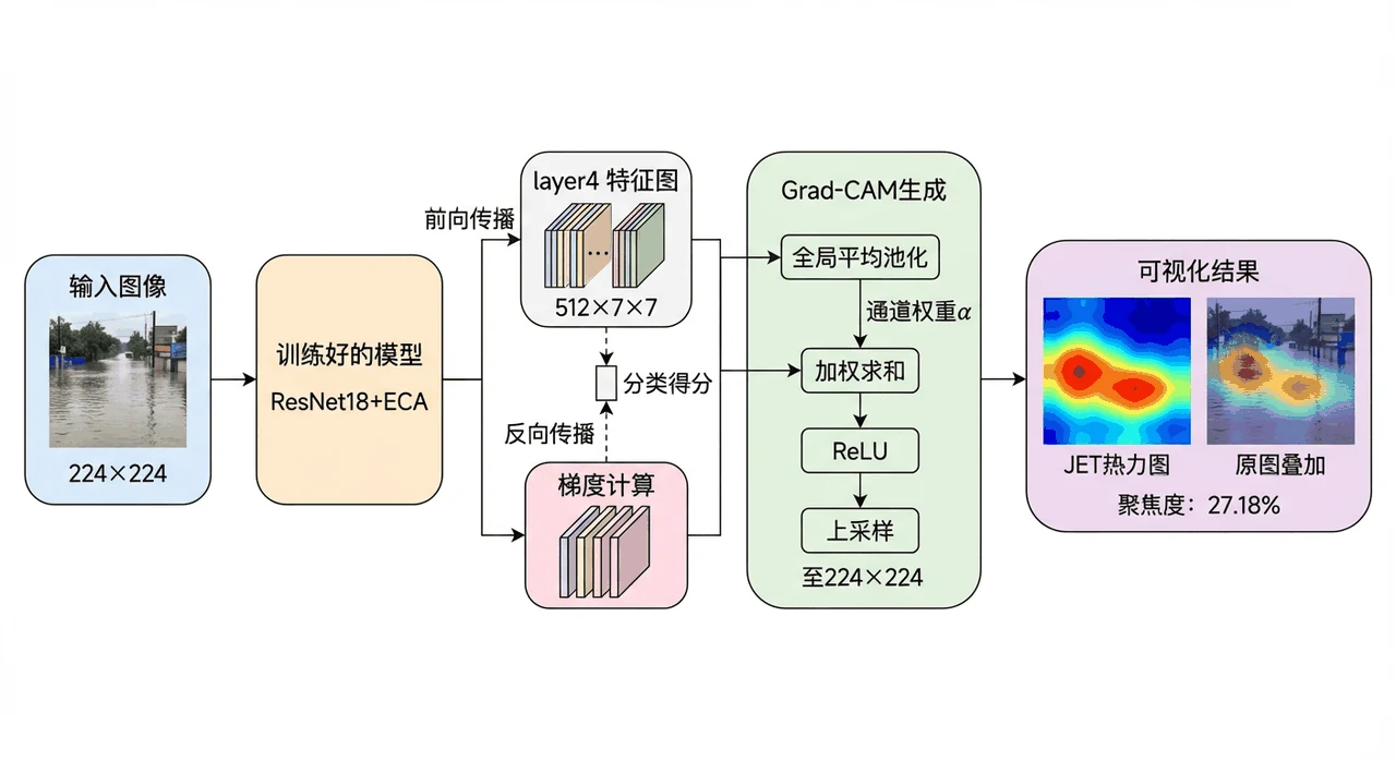 Grad-CAM 可解释性分析流程