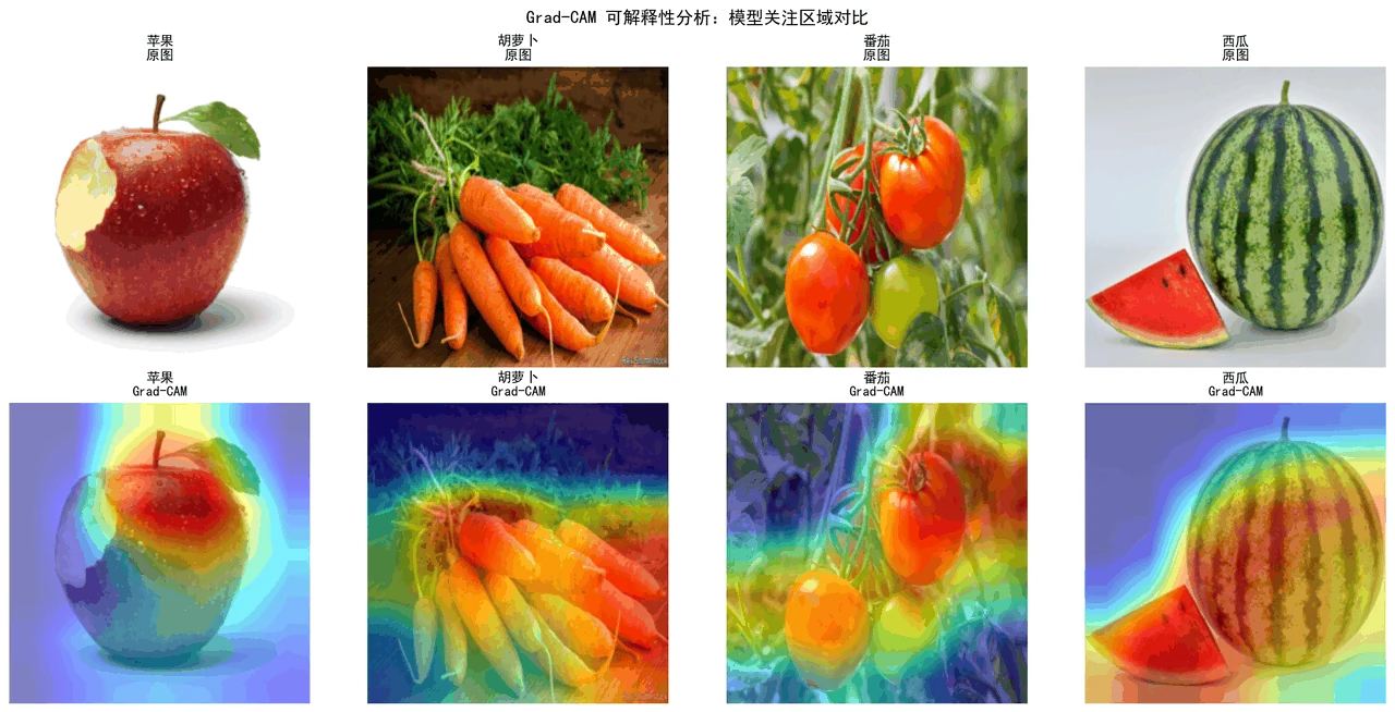 Grad-CAM 对比