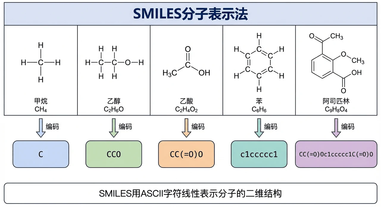 SMILES 分子结构对照
