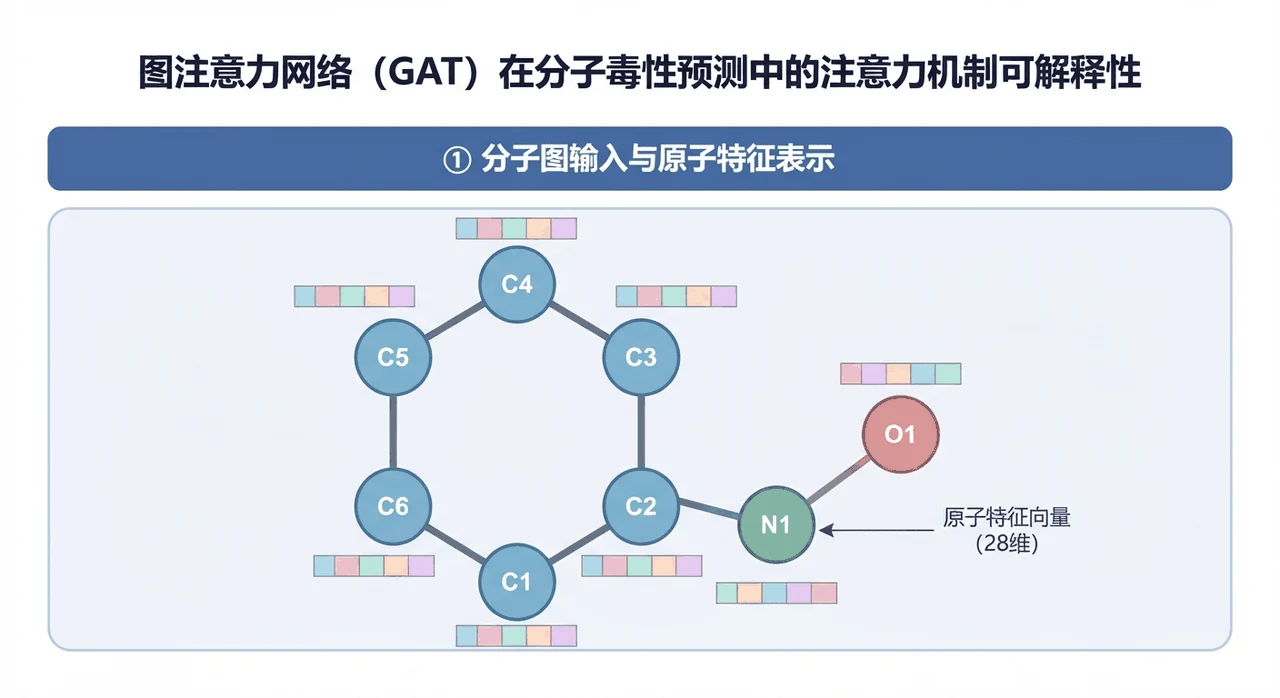 GAT 在分子图上的注意力机制