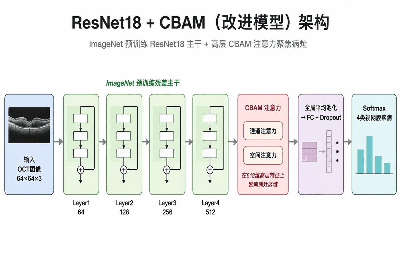 ResNet18 + CBAM 改进模型架构