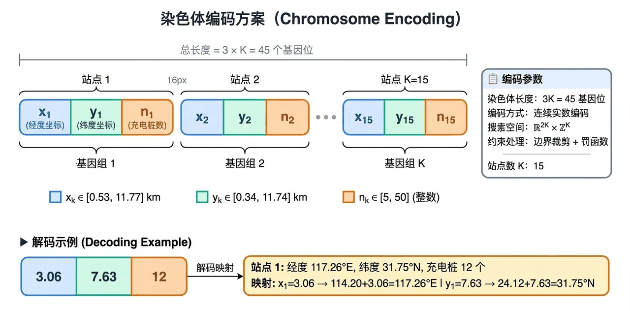 染色体编码示意图