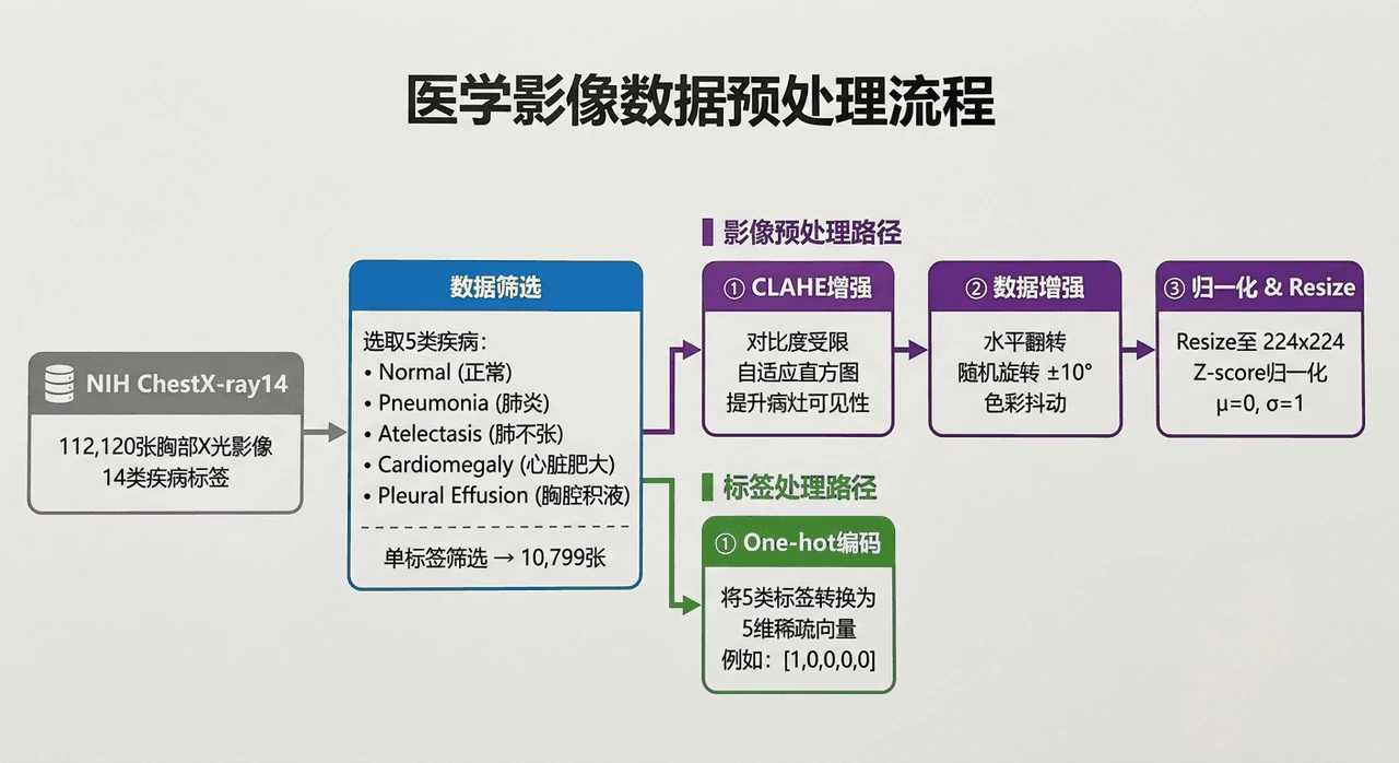医学影像数据处理流程
